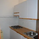 Comfy Seafront With Terrace Appartamento *