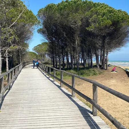 Comfy Seafront With Terrace Appartamento