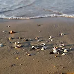 Comfy Seafront With Terrace Bibione
